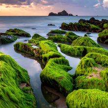Load image into Gallery viewer, Bergamot &amp; Sea Moss (odour eliminator)