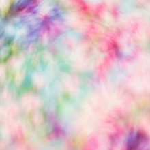 Load image into Gallery viewer, Black Pomegranate