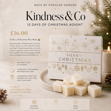 Load image into Gallery viewer, 12 Days Of Christmas melts