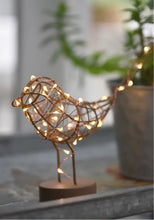 Load image into Gallery viewer, LED Light Up Robin